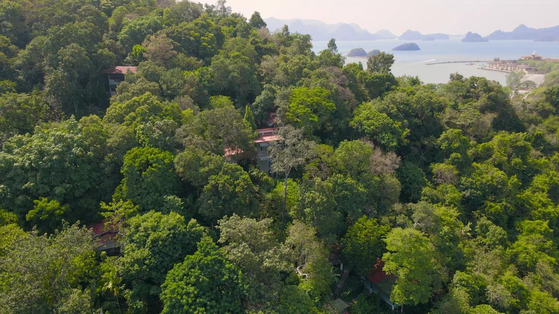 Ambong Rainforest Retreat Pantai Cenang  Zewnętrze zdjęcie
