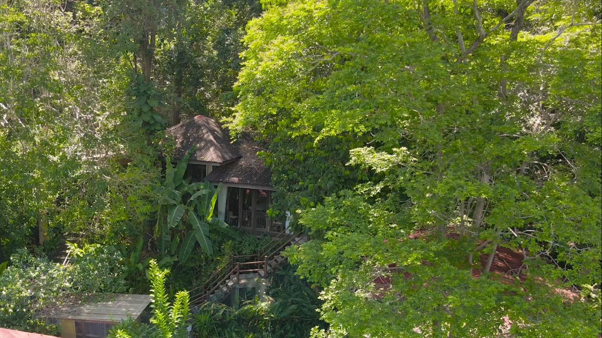 Ambong Rainforest Retreat Pantai Cenang  Zewnętrze zdjęcie